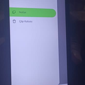 Reeder P13 Blue Max Pro Notlar Silindi.