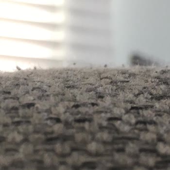 Doğtaş'ın Bir Ayda Kabaran Tüylenen Koltukları