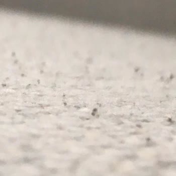 Doğtaş'ın Bir Ayda Kabaran Tüylenen Koltukları