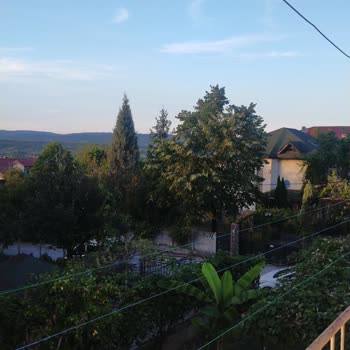 Kartepe Belediyesi İzmit'teki Sivrisinek Sorunu