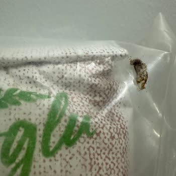 Satıcısı Amazon Olan Böcekli Ürün!