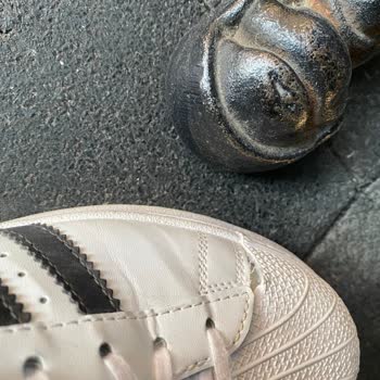 Orjin Canlı Mezat (Diyarbakır) Ayıplı Ürün Satışı