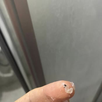 Procsin Sabun İçinden Çıkan