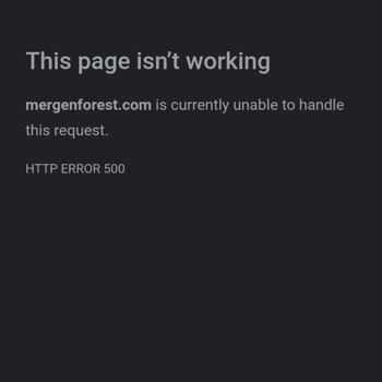 Hekimoglu Ajans Websitem Çalışmıyor Ve Paramı da Geri Alamıyorum