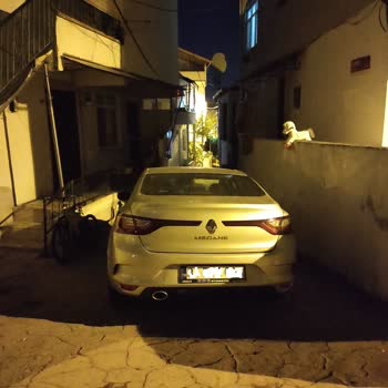 Beykoz Belediyesi Kamu Alanının İşgali Ve Acil Duba Veya Taş Konulması Talebi