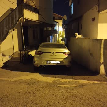 Beykoz Belediyesi Kamu Alanının İşgali Ve Acil Duba Veya Taş Konulması Talebi