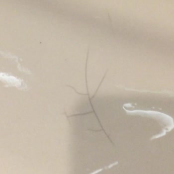 Asperox Mavi Güç Banyo Lavabomu Çatlattı