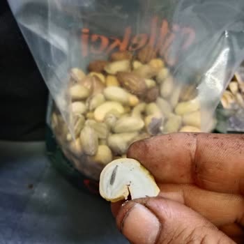 Çitlekçi Kaju Çerezin İçinden Kurt Çıktı