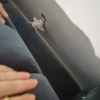 Tamev Pişmanlığı Aldığım Koltuk Takımında Sorun