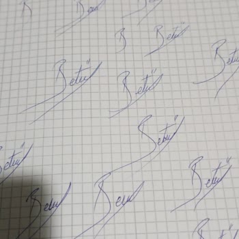 YHT (Yüksek Hızlı Tren) Siyah Bavul Karışıklığı Eskişehir İstanbul 20 Eylül