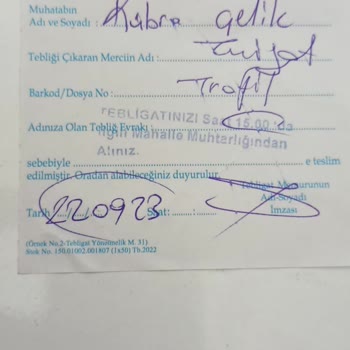 PTT Kargo PTT Evrak Teslim Etmeme
