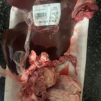 Et Ve Süt Kurumu Mersin Mezitli İnsanları Yanıltarak Ürün Satıyor