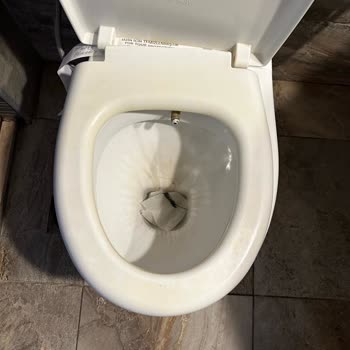 Etstur Etsden Tuttuğumuz Odada Tuvalette Kıl Yumakları