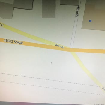 Adana Büyükşehir Belediyesi Otobüs Şoförü Yolcu Alırken El Kol Hareketi Yapıyor!