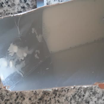 Pınar Et ve Süt Süt İçerisinde Parçalar Çıkması
