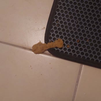 Hepsiburada Agro Vet Mağdurları