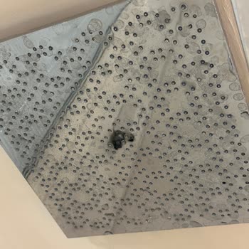 Lale Boutique Hotel Hayal Kırıklığı Mağduriyet