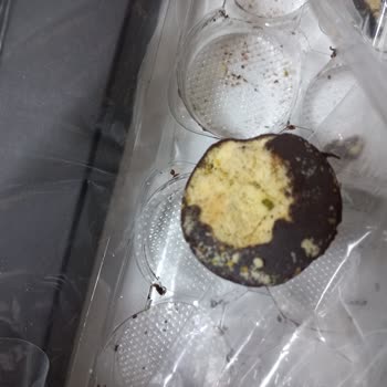 Burak Pişmaniye Çikolata Çok (Kalitesiz)