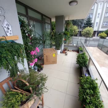 Eki aç