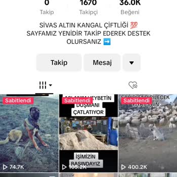 TikTok Videom Hesabımdan Kesilip Başka Biri Tarafından Habersizce Paylaşıldı