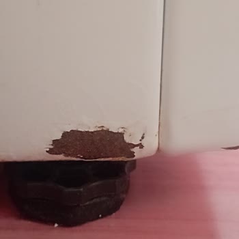 Beko Çamaşır Makinesi Çamaşırları Yırtıyor