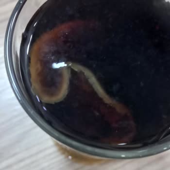 Coca-Cola İçinden Çıkan Cisim