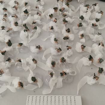 Sy Organizasyon Kötü Hizmet Deneyimi