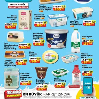 A101 Marketten Aldığımız Kaşar Peyniri Küflendi