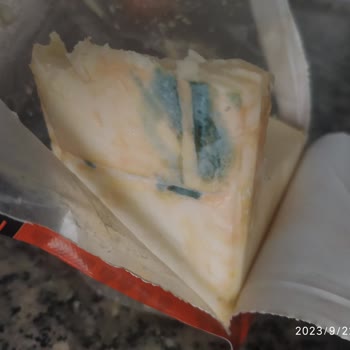 A101 Marketten Aldığımız Kaşar Peyniri Küflendi