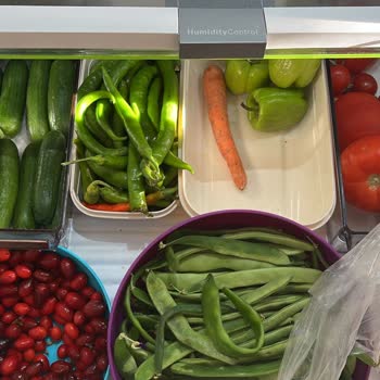 Bosch Buzdolabı Yiyecekleri Dondurması