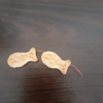 Şimşek Bisküvi Ve Gıda Gıdanın İçindeki Bilinmeyen Cisim