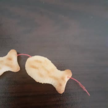 Şimşek Bisküvi Ve Gıda Gıdanın İçindeki Bilinmeyen Cisim