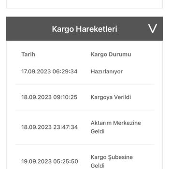 Bir Günde Kargo Sorumsuzluğu