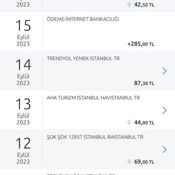 Yapı Kredi Bankası Kart Bilgilerinin Çalınması