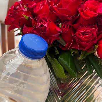 Çiçek Sepeti Küçük Ve Soluk Gül Gönderiyor