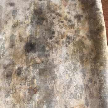 Adana İklim Halı Yıkama Halıları Nemli ve Küflenmiş Şekilde Gönderdi