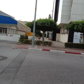 Antalya Muratpaşa Belediyesi Saldırgan Kopek Ve Yardim Etmeyen Belediye