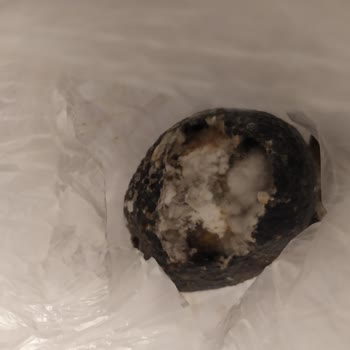 Migros Sanal Market Mağduriyeti