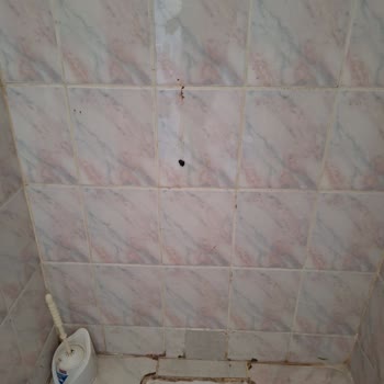 T. C. Cumhurbaşkanlığı Okul 🏫 Temizliği Yapılamıyor