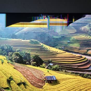 TCL Mini LED 2 Günlük TV Bozuk İlgilenen Yok