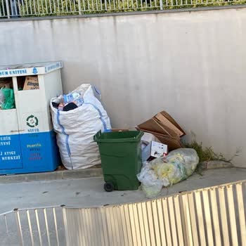 Emlak Yönetim Site Yönetiminden Şikayetçiyim