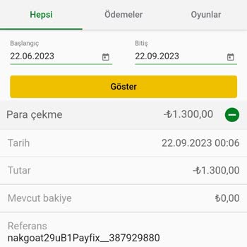 Payfix Paramı Yatırmıyor Bilerek