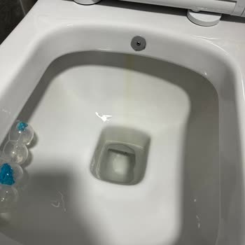 Bien Seramik Bien Klozet Sararıyor