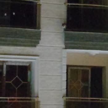 Turgutlu Belediyesi Apartmanda Mahsur Kalan Kediyi İtfaiyeciler Kurtarmadılar