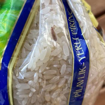 Duru Bulgur Bakliyat Ürünlerinde Kurt Çıkması
