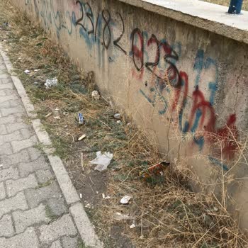 Milli Eğitim Bakanlığı (MEB) Erzurum Toplu Konut İlkokulu! Okul Temizlik Ve Hijyeni
