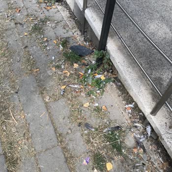 Milli Eğitim Bakanlığı (MEB) Erzurum Toplu Konut İlkokulu! Okul Temizlik Ve Hijyeni