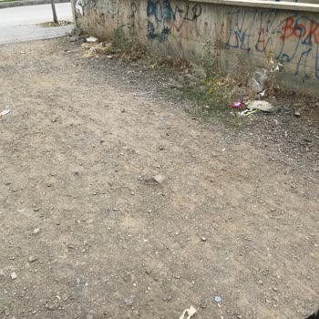 Milli Eğitim Bakanlığı (MEB) Erzurum Toplu Konut İlkokulu! Okul Temizlik Ve Hijyeni