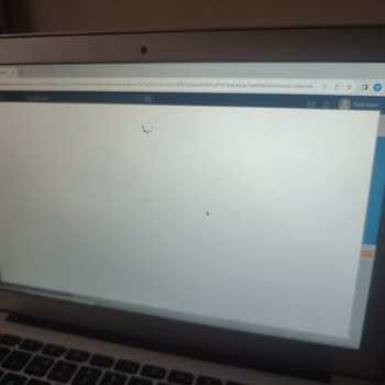 EBA Sınav Giriş Sorunu