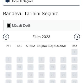 VFS Global Vize Randevusu Sorunu!